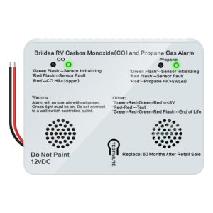 RV Carbon Monoxide & Propane Gas Alarm, Dual LP/CO Alarm with Separate LED Indicator Light, 100dB Loud Alarm, Provide You with Early Warning to Ensure Safety, 12 VDC, White